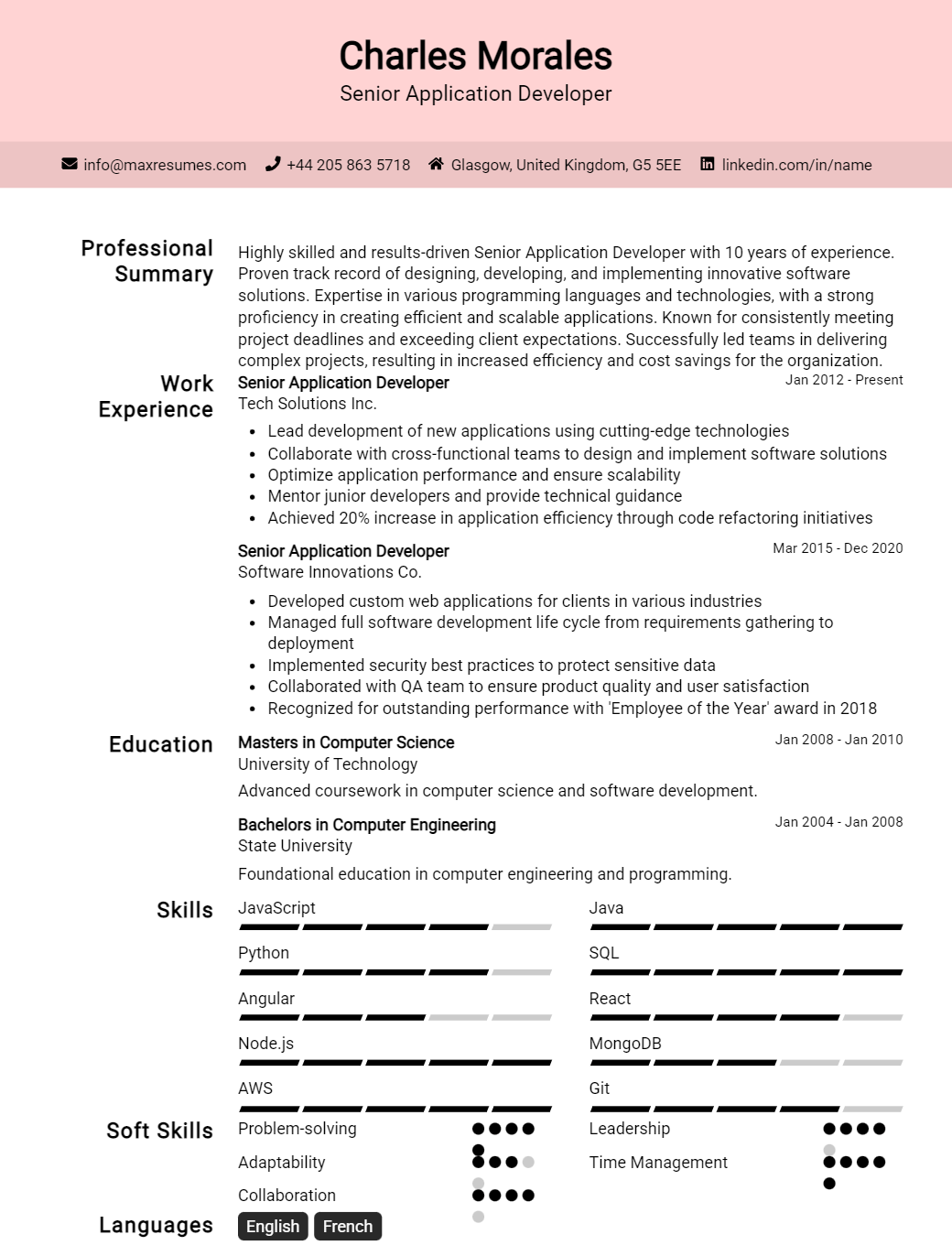 senior-application-developer-resume-sample