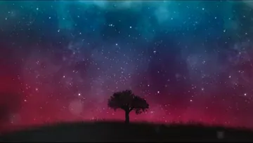 Night sky