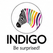 Indigo Paints